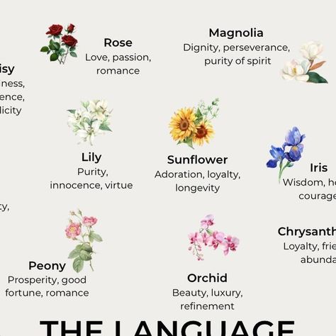 Symbol Of Flowers, Spiritual Meaning Of Plants, Flowers Meaning Love, Flower Symbolism Meaning, Flowers And Meanings, Daisy Meaning, Daisy Flower Meaning, Peaceful Flowers, Flowers Language