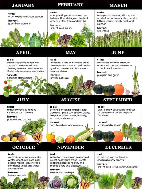 Growing a Kitchen Garden | United States Botanic Garden Nature, Fall Garden Plan, Garden Recipes Vegetable, Survival Garden Layout, Garden Center Design, Farm To Table Aesthetic, Backyard Fruit Garden, Garden Information, Farming Ideas Agriculture