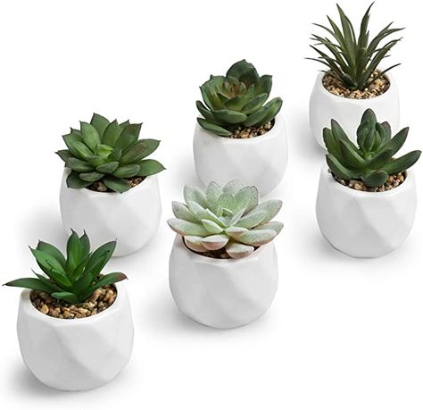 Amazon.com: MyGift Mini Assorted Artificial Succulents in White Ceramic Pots, Set of 6: Home & Kitchen Fake House Plants, Succulent Indoor, Small Fake Plants, Pots Set, Fake Plants Decor, Geometric Planter, Fake Succulents, Succulents Decor, Decoration Plante