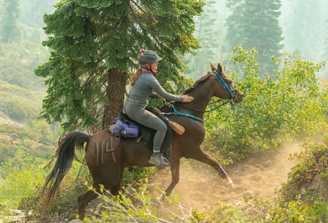 Endurance Horse Riding, Horse Disciplines, Endurance Horse, Endurance Riding, Nevada Mountains, Horse Owner, Cup A, Horse Health, Equestrian Sports