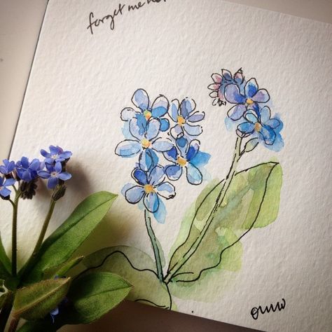 Love these little forget-me-not flowers. 4/100 #the100dayproject #sketchaday…                                                                                                                                                                                 More Ohn Mar Win, Doodle Tattoo, Flowers Drawing, Flower Sketches, Watercolor Flowers Paintings, Flowers Spring, Easy Watercolor, Sumi E, Forget Me Not