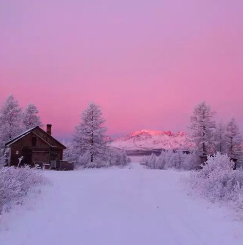 Pink Winter Sky Bonito, Natal, Maximalism, Snowy Woods, Winter Sky, Winter Nature, Winter Scenery, Snow Scenes, Winter Wonder