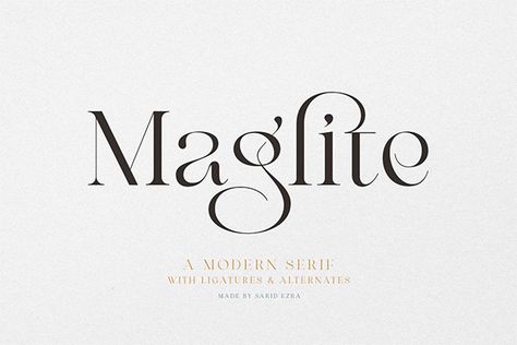 Typographie Inspiration, Business Fonts, Classy Fonts, Logo Minimalista, Modern Serif Fonts, Free Fonts For Designers, Create Logo, Aesthetic Fonts, Popular Fonts