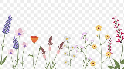 Spring Flower Border, Wildflower Border, Border Transparent, Flower Boarders, Png Border, Flower Border Png, Wildflower Drawing, Wild Flower Meadow, Flowers Wild