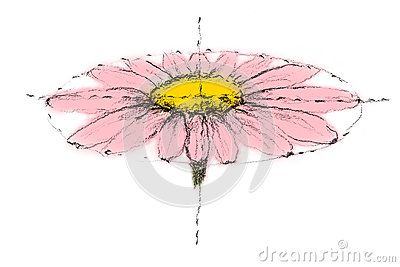 A close up of a hand drawn flower with guide lines to show perspective. Croquis, Close Up Flower Drawing, Flower Perspective Drawing, Flower Perspective, Drawing Angels, Perspective Illustration, Chinese Painting Flowers, Loose Watercolor Paintings, Water Lilies Painting