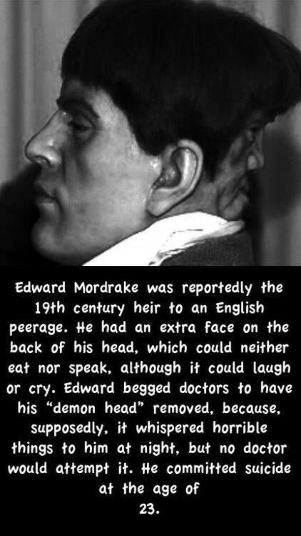 Ghost Stories, True Stories, Scary Stories, Edward Mordrake, Two Faces, Interesting History, American Horror, Horror Stories, American Horror Story