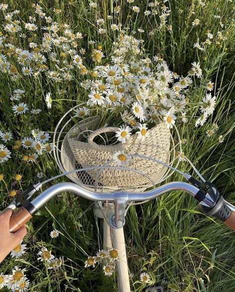 demeter aesthetic Flores Wallpaper, Bike Aesthetic, Spring Inspo, Hiasan Bilik, Spring Boards, Spring Girl, Nothing But Flowers, Spring Mood, Spring Wallpaper