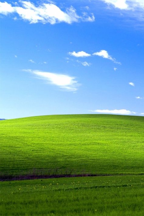 Windows XP Background Now and Then Early Internet, 2000 Wallpaper, Wallpaper Windows 10, Android Wallpaper Black, Classic Window, Vaporwave Wallpaper, Grass Wallpaper, Windows Wallpaper, Most Beautiful Wallpaper