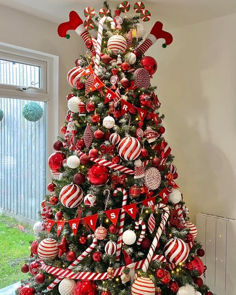 Natal, Candy Cane Hunt, Pretty Christmas Decorations, Cozy Christmas Decor, Traditions Around The World, Candy Cane Christmas Tree, Elf Christmas Tree, Christmas Tree Decorating Themes, Peppermint Christmas