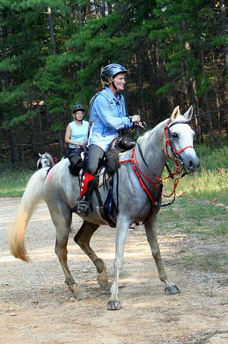 Horse Tricks, Endurance Riding, Deer Crossing, Horse Lessons, Prey Animals, Riding Tips, Horse Info, Sport Set, Sense Of Sight