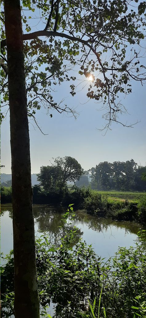 #morning #village #india #tripura India, Travel, Village Vibes, Fresh Air, Aesthetic Girl, Beautiful Places, Natural Landmarks, Quick Saves