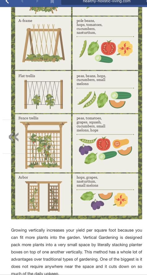 Food Garden Layout Backyards, All About Gardening, Vertical Garden Layout, Veggie And Fruit Garden Layout, Small Backyard Vegetable Garden Design Layout, Small Homestead Garden Layout, Vegetable Garden Plans Layout Design, Fruit And Vegetable Garden Layout, Beginner Garden Layout