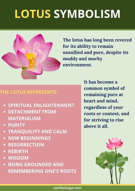 The lotus has been revered for its ability to remain pure and unsullied despite its muddy and murky living conditions. It's an important symbol in Buddhism, Hinduism and among spiritual groups. Lotus Meaning, Lotus Flower Symbolism, Lotus Flower Meaning, Small Wave Tattoo, Zen Symbol, Lotus Flower Logo, The Lotus Flower, Flower Meaning, Lotus Symbol