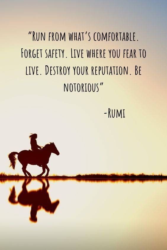 a silhouette of a person riding a horse with a caption that reads run from what's comfortableable forget safety, live where you fear to live destroy your repat