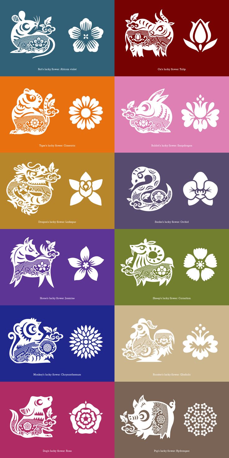 an image of different types of flowers and animals in white on red, blue, yellow, green, orange, purple