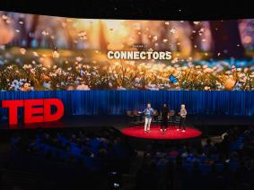 Connectors: Notes on Session 11 of TED2024