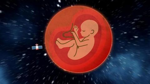 Diagram of a human embryo floating through space