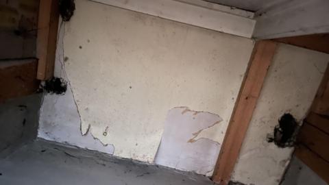 The ceiling of a property where rats have chewed holes through the ceiling of the bedroom