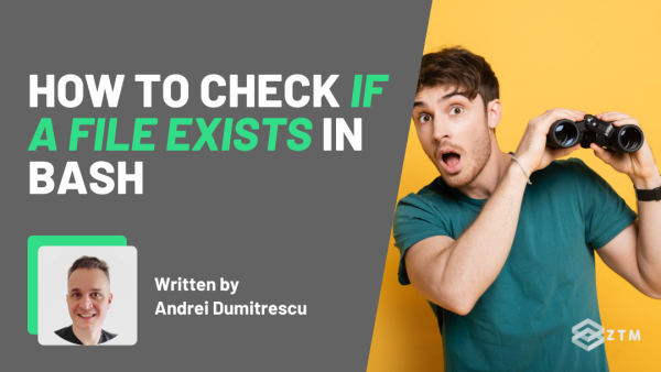 How To Check If A File Exists in Bash (With Code Examples) preview
