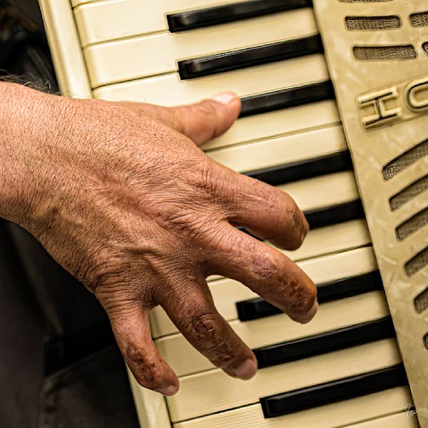 Malta Accordian