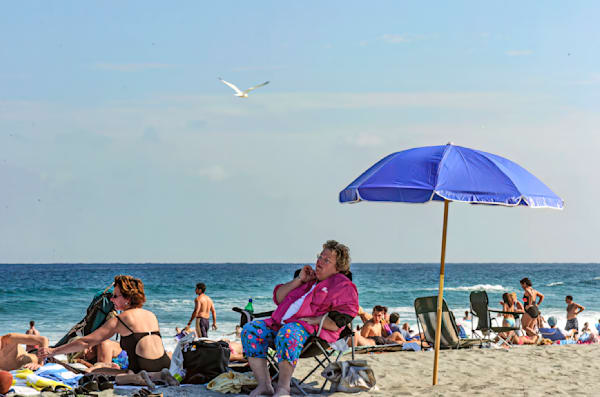 Delray Beach Seagull