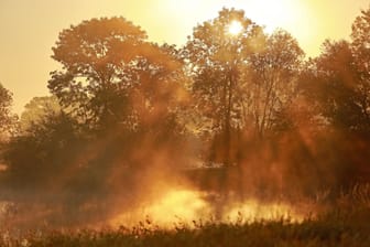 Wetter in Sachsen-Anhalt