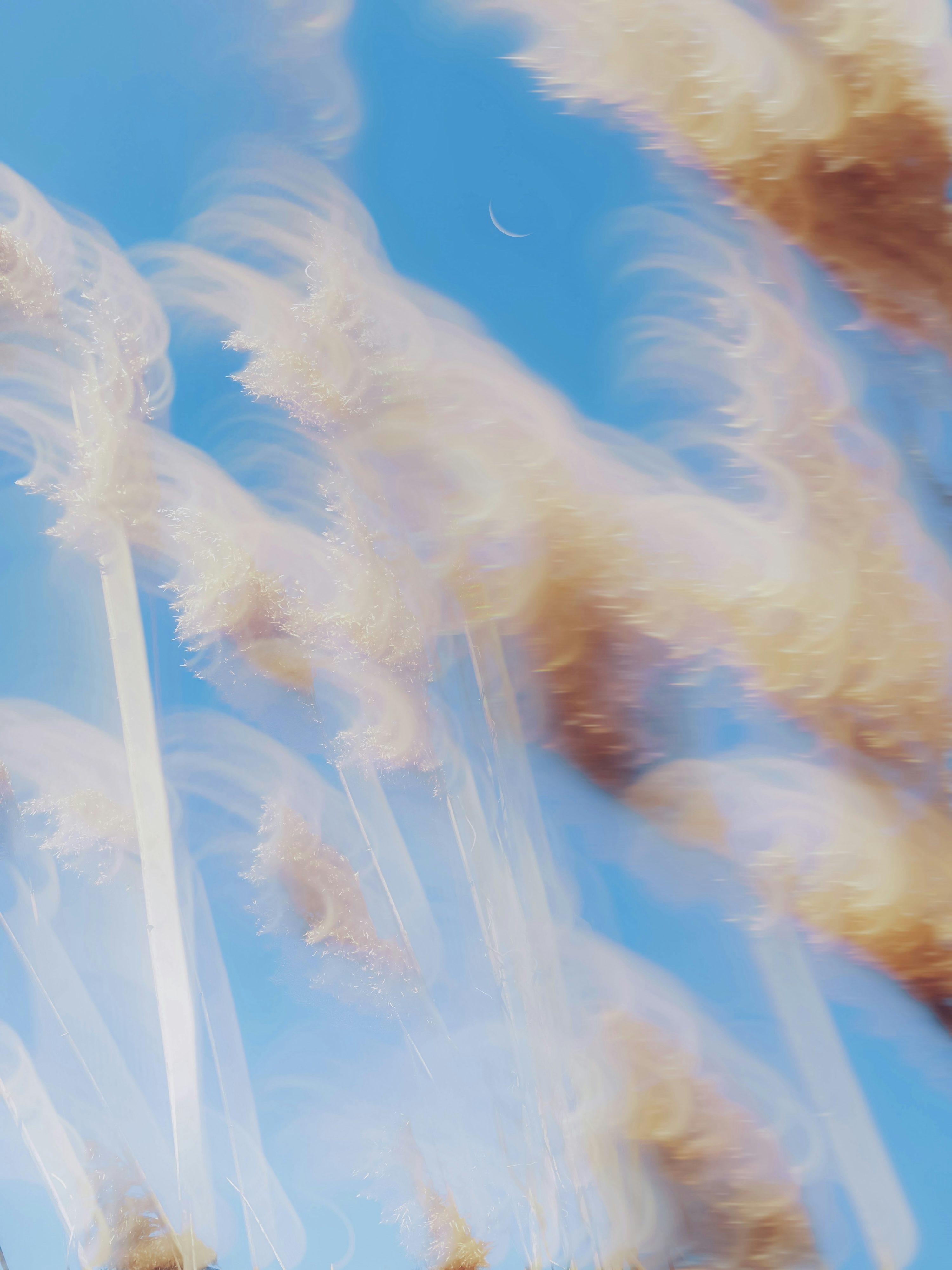 A blurry photo of feathers flying in the sky