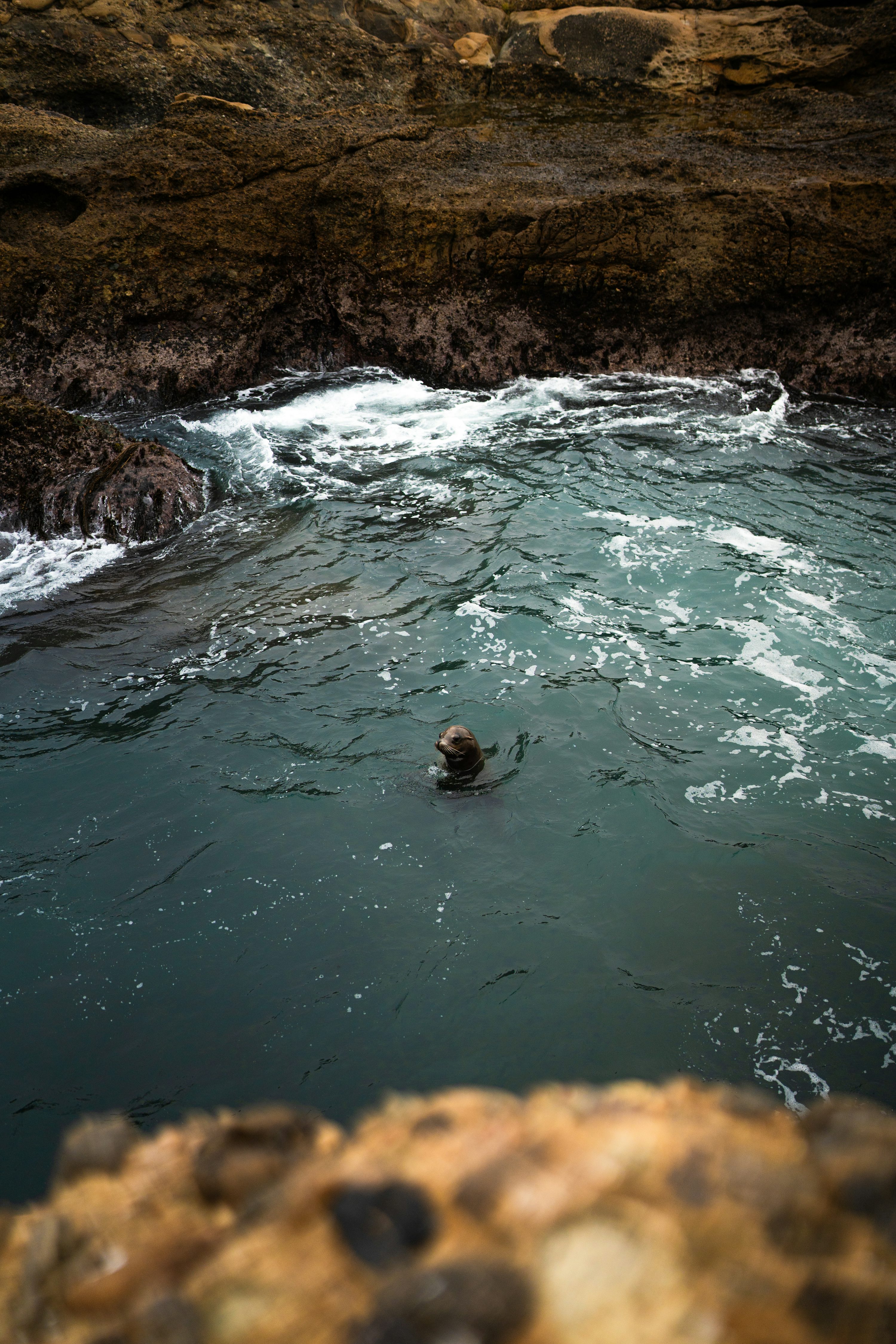 A person swimming in a body of water