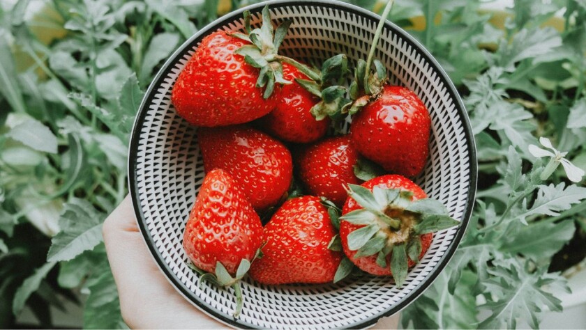 Can OpenAI’s Strawberry program deceive humans?