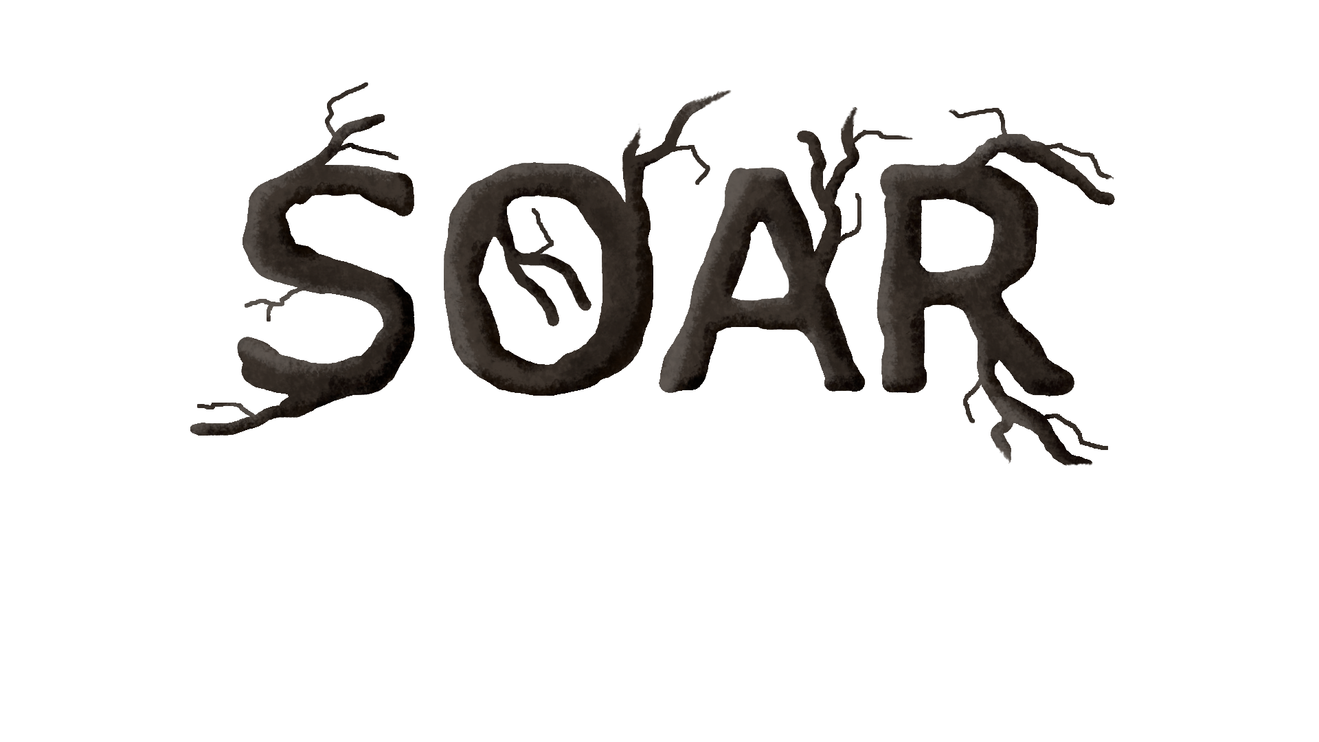 Soar