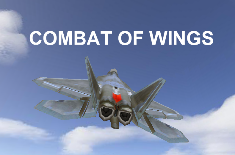 COMBAT OF WINGS