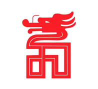 大华（集团）有限公司