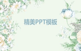 精美PPT模板