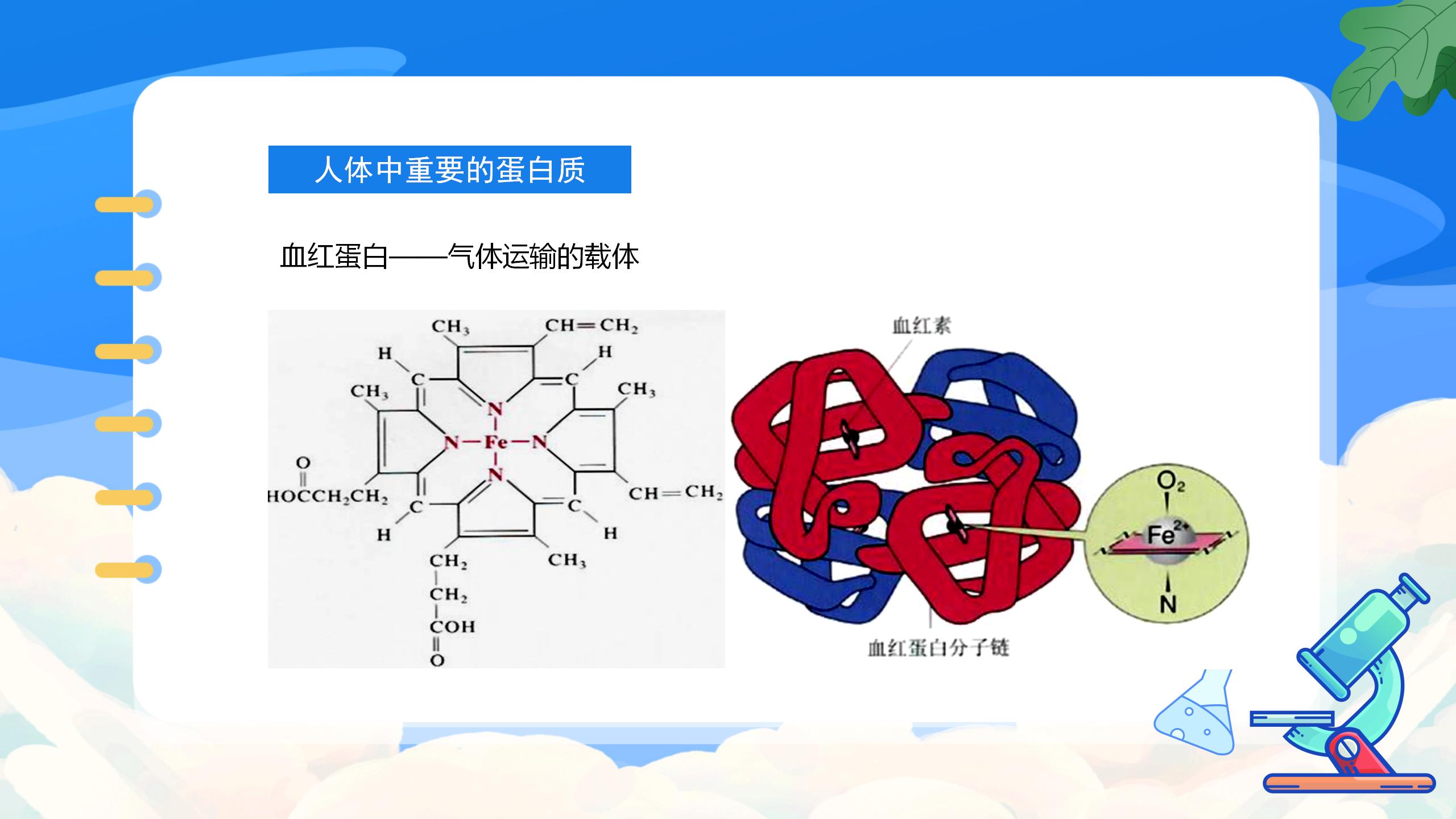 《人类重要的营养物质》化学与生活PPT课件4PPT课件下载