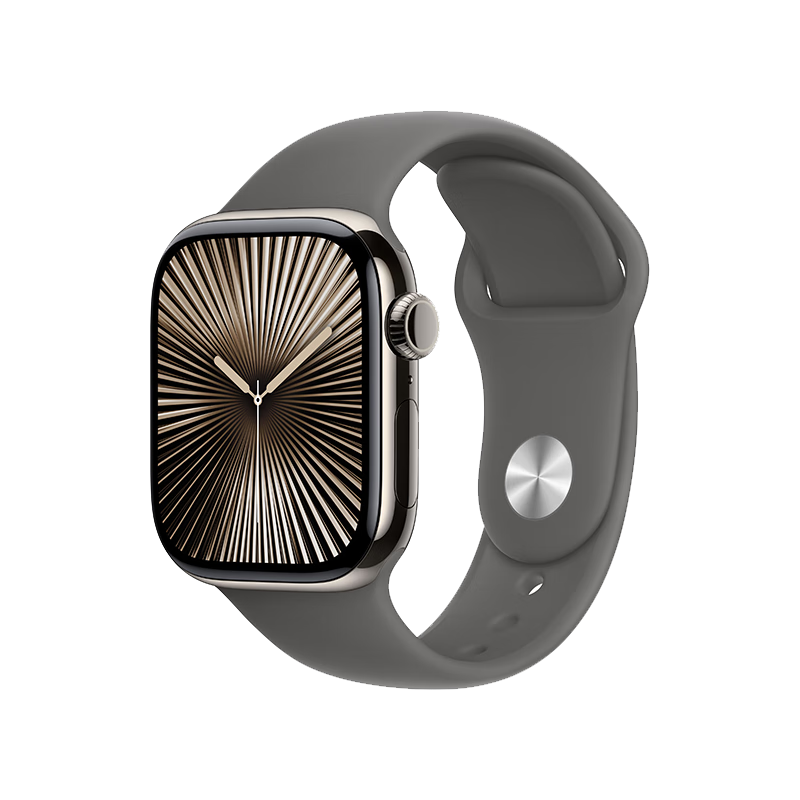 Apple 苹果 Watch Series 10 智能手表 GPS+蜂窝网络款 42mm 钛金属原色 岩灰色橡胶表带 M/L