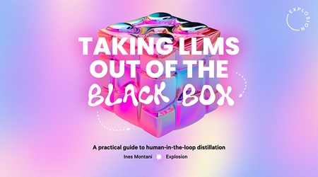 Taking LLMs out of the black box: A practical guide to human-in-the-loop distillation