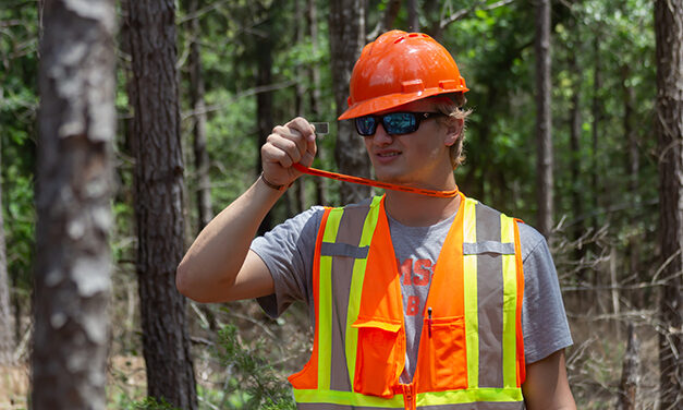 How to Conduct a Timber Cruise