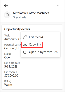 Screenshot showing copy link from record details.