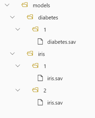 A screenshot of the folder structure showing multiple models.