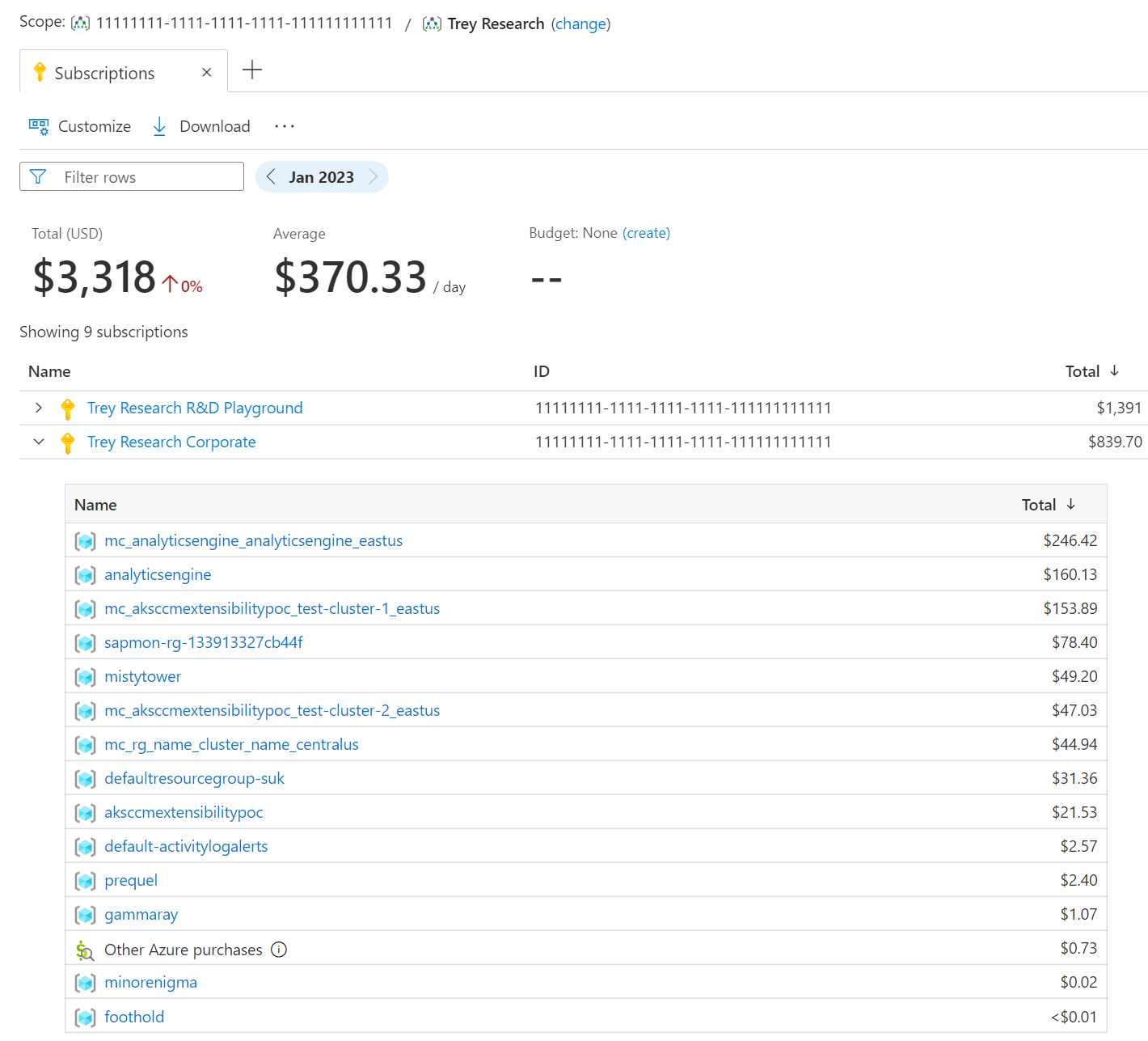 Screenshot showing a table view of subscription costs with their nested resources.