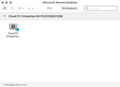 Screenshot of a dev box in a non-Windows Remote Desktop client Workspace.