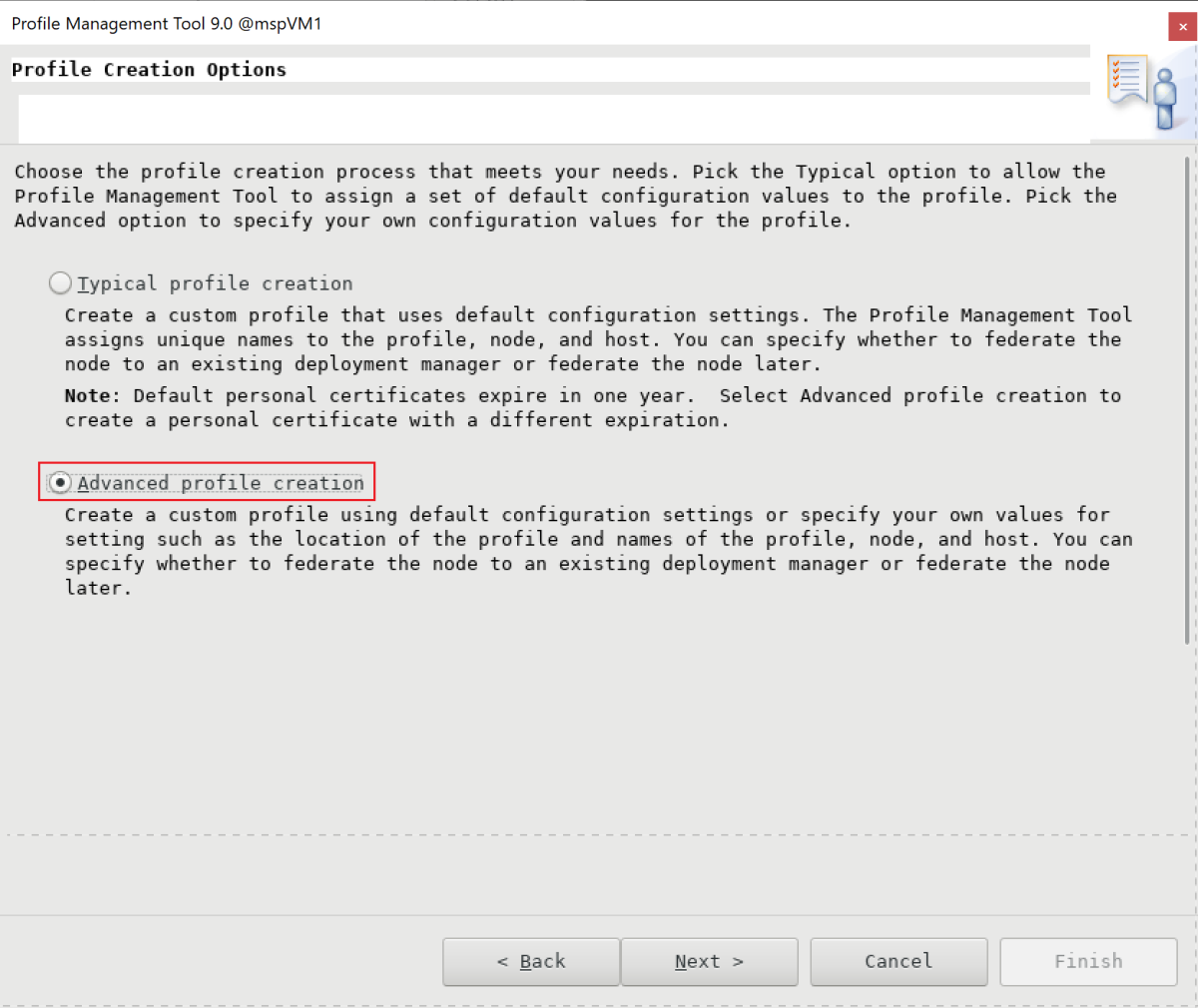 Screenshot of the Profile Creation Options pane of the IBM Profile Management Tool.