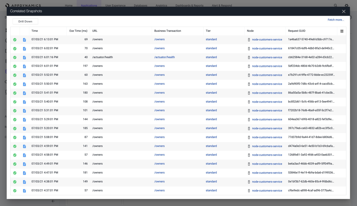 Screenshot of AppDynamics that shows the Correlated Snapshots page accessed from the Slowest Database Calls page.