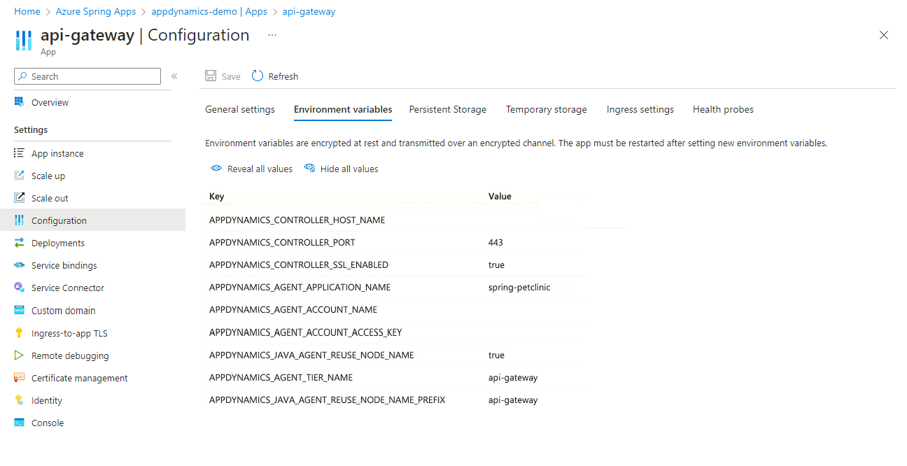 Screenshot of the Azure portal that shows the Configuration page with the Environment variables tab selected.