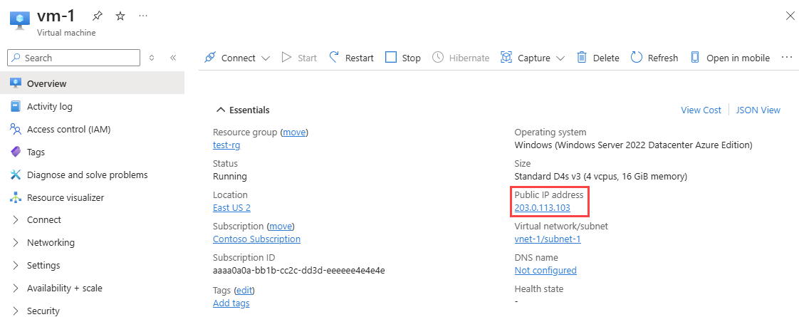 Screenshot of Public IP address of a virtual machine in the Overview page.