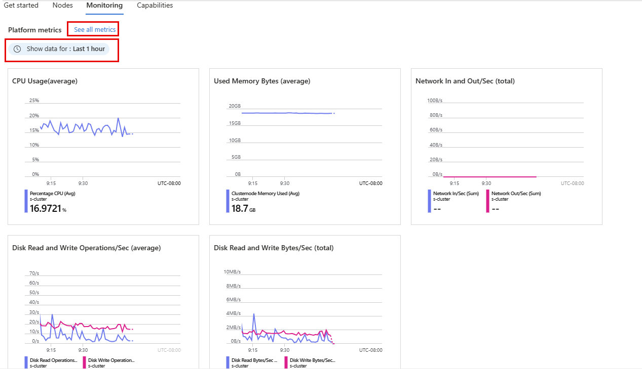 Screenshot showing the platform metrics for your cluster.