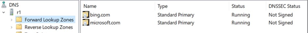 Screenshot that shows DNS Primary Zone server settings.