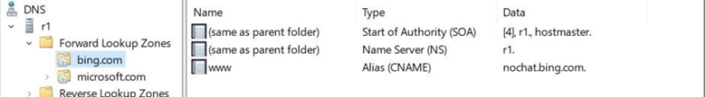 Screenshot that shows first CNAME record in DNS server settings.