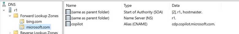 Screenshot that shows second CNAME record in DNS server settings.