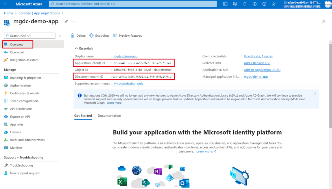 A screenshot that shows the application and tenant IDs.